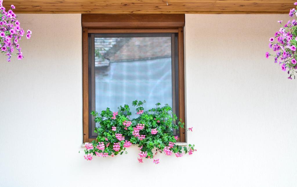 Pava Apartmanhaz มาโค ภายนอก รูปภาพ